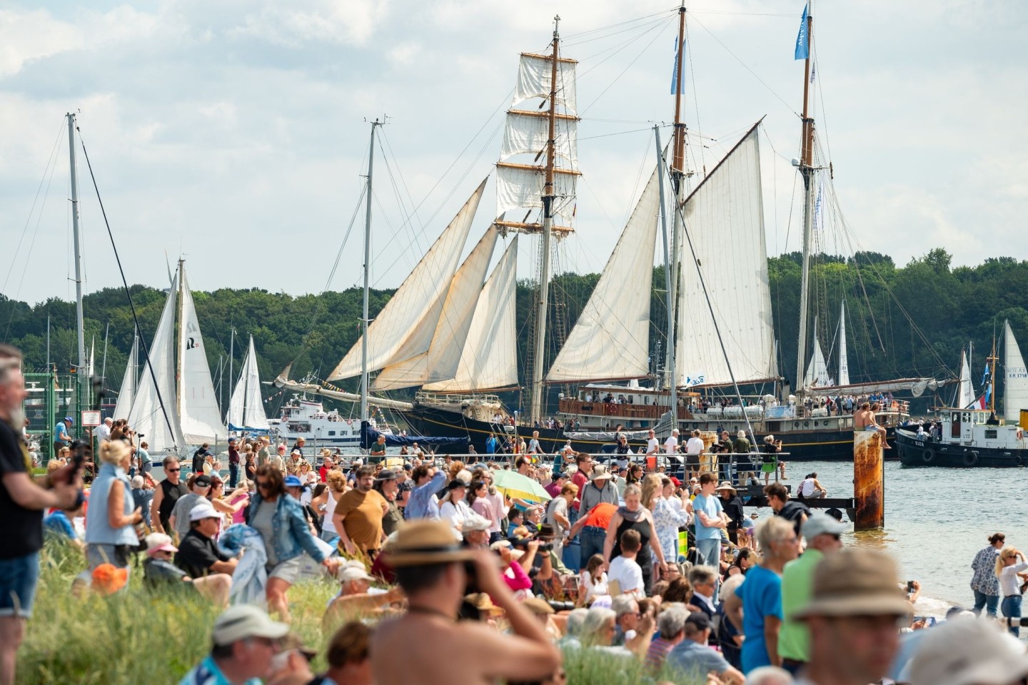 Zahlreiche große und kleine Segelschiffe fahren während der Windjammerparade auf der Kieler Förde.