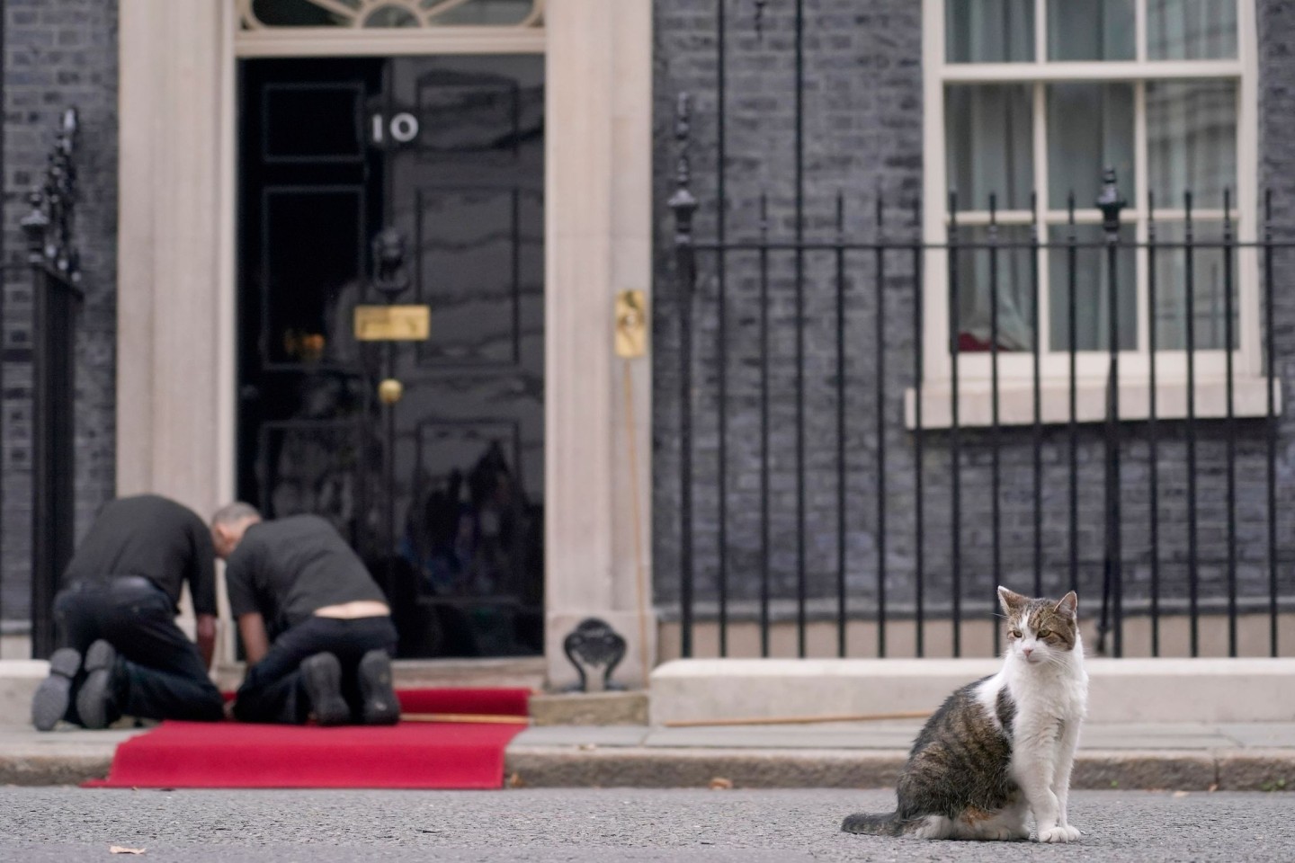 Larry lebt schon deutlich länger in der Downing Street als die meisten Premierminister. (Archivbild)