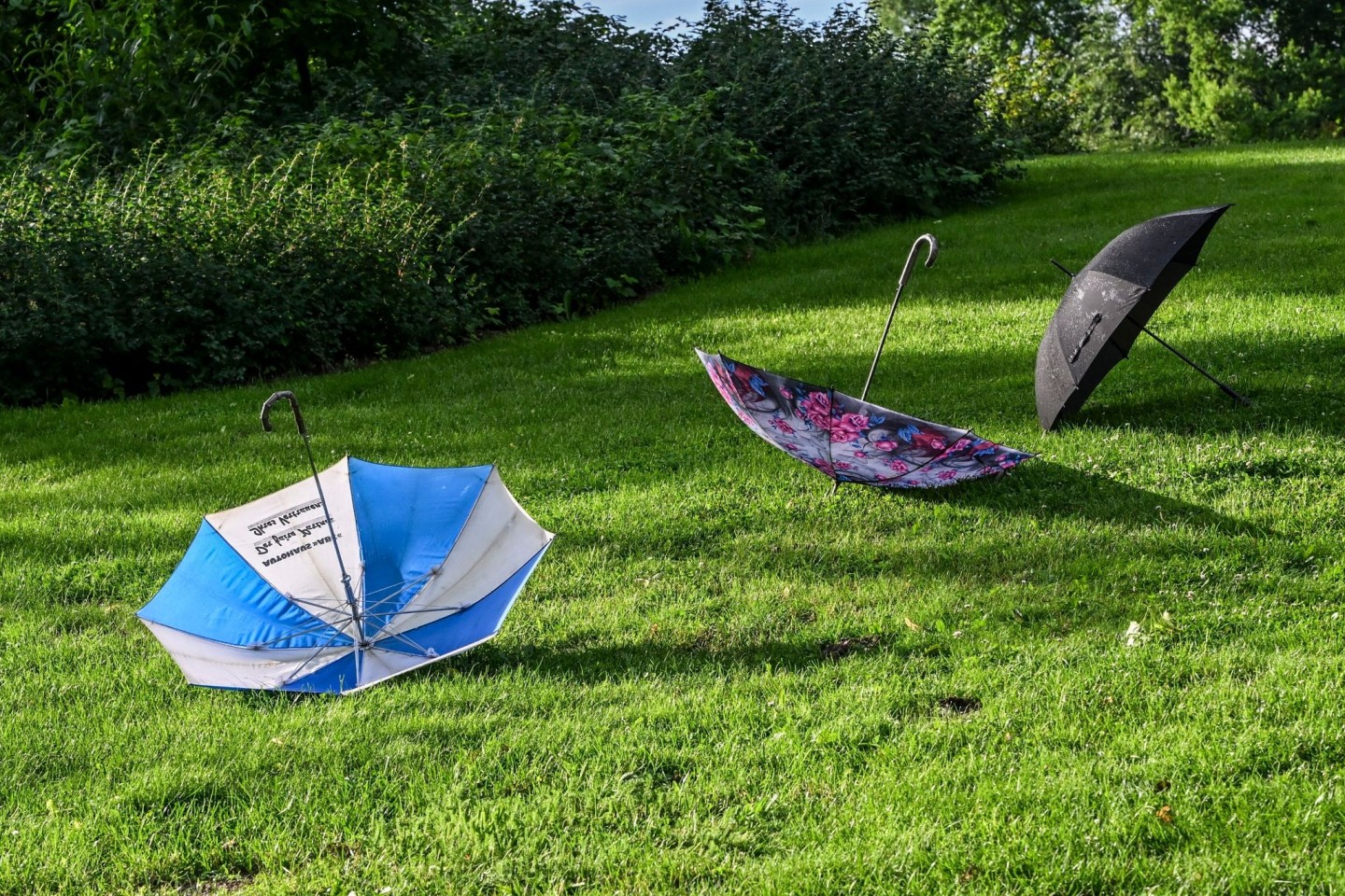 Aufgespannte Regenschirme liegen zum Trocknen auf einer Wiese. Jetzt kommt die Hitze.