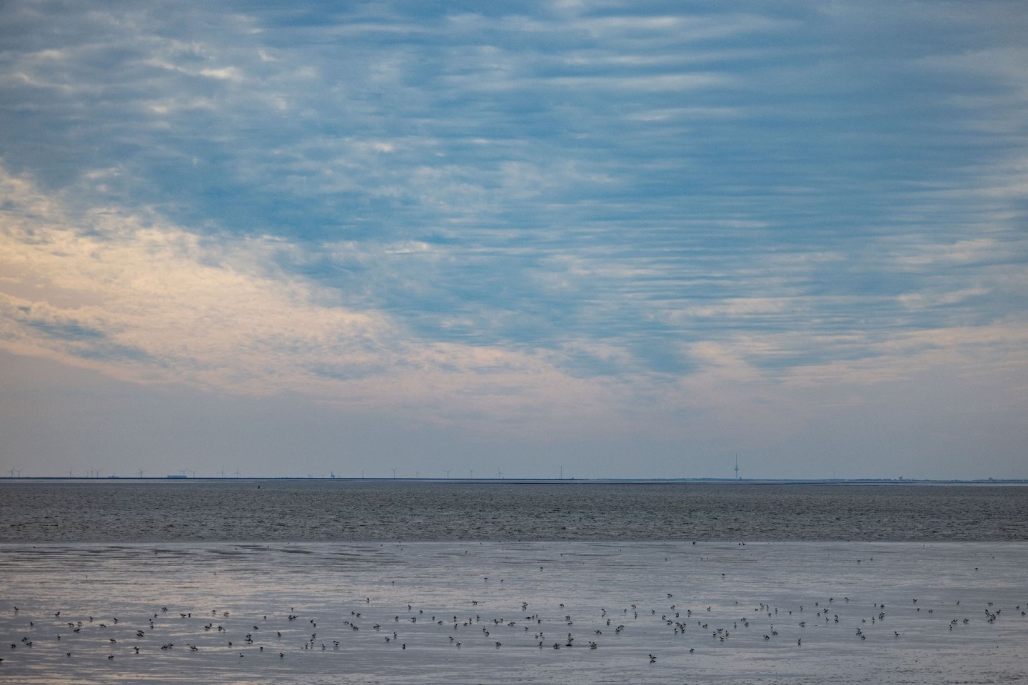 Die Wassertemperatur der Nordsee steigt.