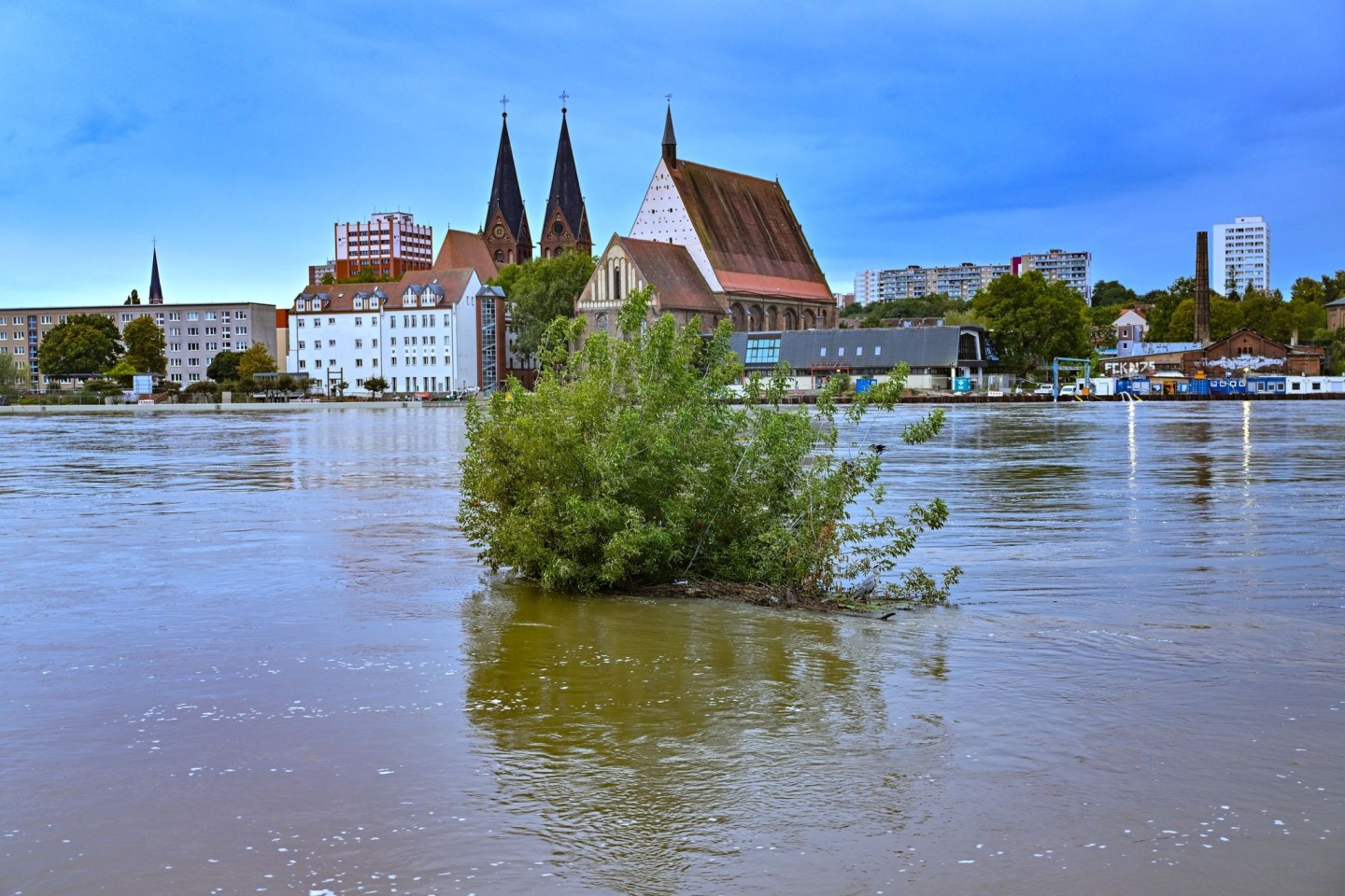 Das Wasser der Oder steht noch sehr hoch in Frankfurt.